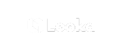 Logo vom Tool Looka